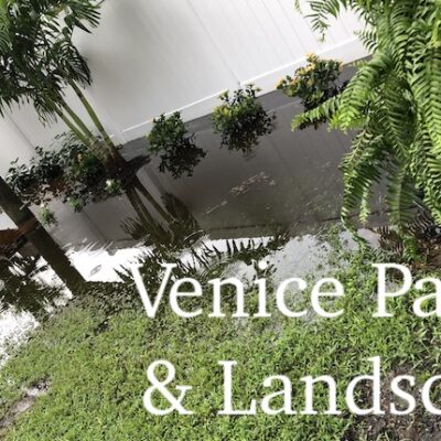 Landscape Drainage Venice FL
