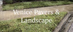 Venice FL Lawn Replacement