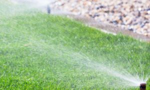 sprinkler repair Venice
