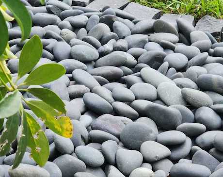 Black-beach-pebble-bulk-wholesale-venice