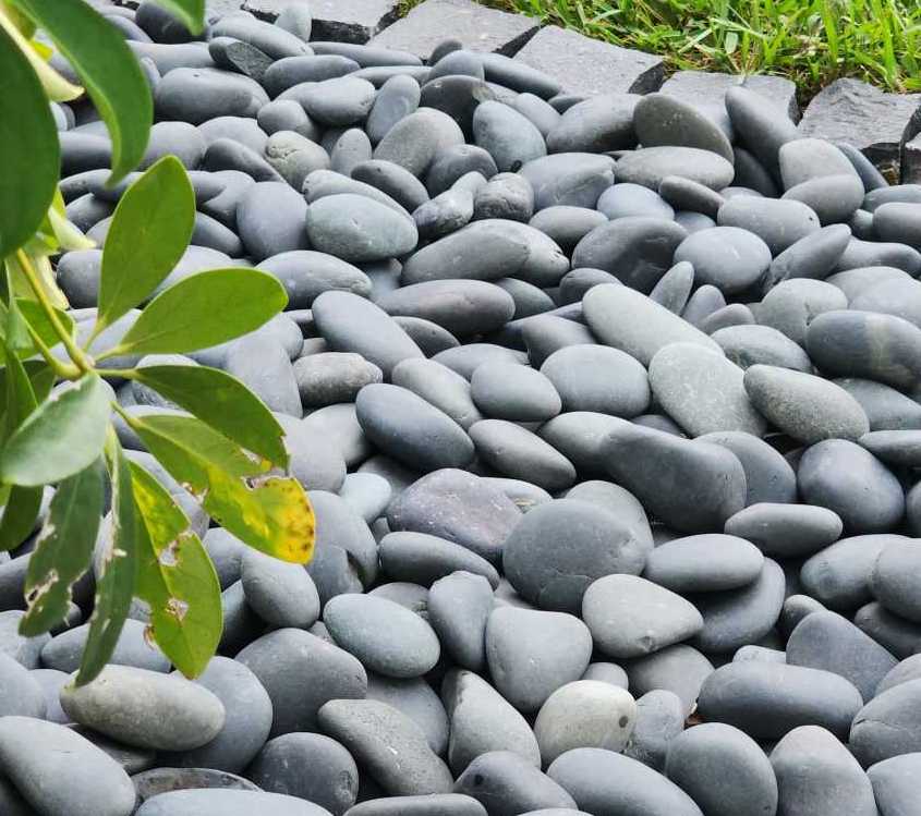 Black-beach-pebbles-bulk-decrative-rock-wholesale-venice