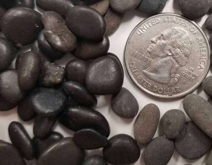 mini-beach-pebbles-polished-decorative-rock-venice