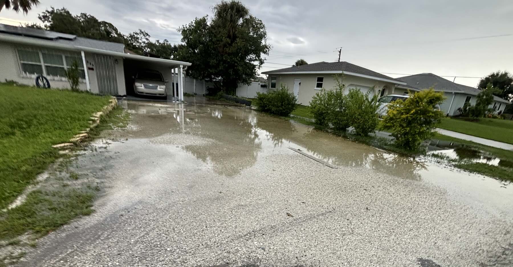 Prevent Driveway Flooding: A Rainy Season Guide 1 yard flooding - driveway pooling standing water Venice