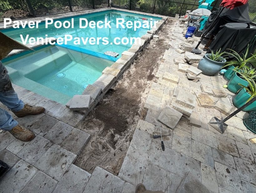 Paver Repair around pool deck - Venice Pavers